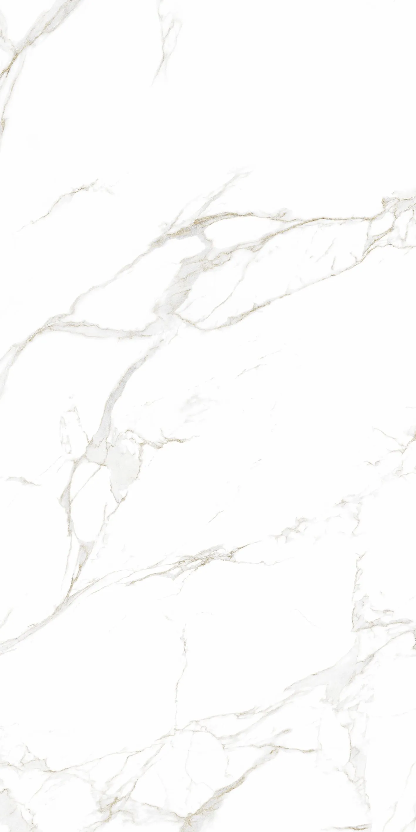 картинка Облицовочная плитка Альказар глянцевый белый 60*30см от магазина CULTO