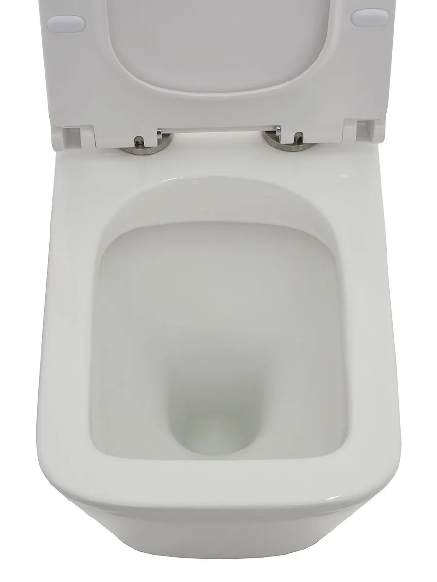 картинка Унитаз-компакт AQUAme AQM1003+AQM1101 премиум класса